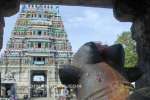பவானி சங்கமேஸ்வரர் கோவிலில் சிறப்பு யாக வழிபாடு
