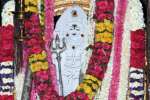 அதியமான்கோட்டை காலபைரவர் கோவிலில் தேய்பிறை அஷ்டமி பூஜை!