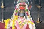 கடலுார் கோவில்களில் சிவராத்திரி சிறப்பு பூஜை!