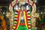சிறப்பு அலங்காரத்தில் சரநாராயண பெருமாள்!