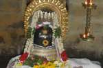 மேலகாசாகுடி நாகநாதசுவாமி கோவிலில் மகா சிவராத்திரி விழா!