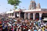 பழநி பங்குனி உத்திர விழா: ஐந்துநாள் தங்கரதம் நிறுத்தம்!