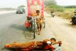 அங்கபிரதட்சணம் செய்தபடி திருமலைக்கு பயணம்!
