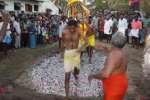 பரங்கிப்பேட்டை அங்காள பரமேஸ்வரி  கோவிலில் தீமிதி திருவிழா!