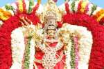 வளவனுார் குமாரபுரியில் அங்காளம்மன் தேர் திருவிழா!