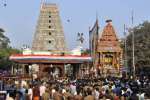 திருவான்மியூர் மருந்தீசுவரர் கோவிலில் தேரோட்டம்!