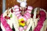 புத்தூர் சுப்பிரமணியசுவாமி கோயிலில் திருக்கல்யாணம்!