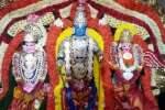 பொள்ளாச்சி பெருமாள் கோவிலில் ஆண்டு விழா கொண்டாட்டம்