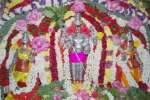 சென்னிமலை முருகன் கோவில் பங்குனி உத்திர தேரோட்டம்