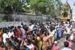 கல்யாணபசுபதீஸ்வரர் கோவிலில் பங்குனி உத்திர தேரோட்ட விழா