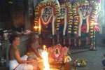 வீரட்டானேஸ்வரர் கோவிலில் திருக்கல்யாண உற்சவம்