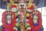 சிறப்பு அலங்காரத்தில் சரநாராயண பெருமாள்!