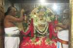 திருத்தணி முருகன் கோவிலில் 11ல் சித்திரை பிரம்மோற்சவம்