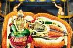 திரவுபதியம்மன் கோவிலில் ஊஞ்சல் உற்சவம்!