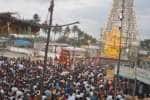 சுந்தர வரதராஜ பெருமாள் கோவிலில் கருட சேவை