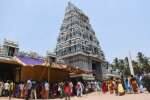 ஆனைமலை மாசாணியம்மனுக்கு அமாவாசை பூஜை!