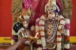 மொரட்டாண்டி கோவிலில் கல்யாணசுந்தரருக்கு திருக்கல்யாணம்