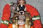 சரநாராயண பெருமாள் கோவிலில் ராமானுஜரின் திருநட்சத்திர விழா!