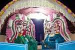 திருநள்ளார் சனிஸ்வர பவான் கோயிலில் பிரமோற்சவ வீதியுலா!