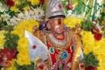 பழநியில் வைகாசி விசாகம் துவக்கம்