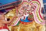 தங்க ரிஷப வாகனத்தில் திருநள்ளார் தர்பாரண்யேஸ்வரர் வீதி உலா!