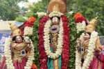 திருப்பூர் வைகாசி விசாகத் தேர்த்திருவிழா: வீரராகவப் பெருமாள் வீதி உலா!