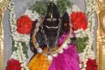 அந்திலி கோவிலில் நரசிம்ம ஜெயந்தி விழா