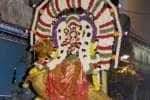 திருநள்ளார் பிரமோற்சவம்: தங்க காக்கை வாகனத்தில் சனிஸ்வர பகவான் வீதி உலா!