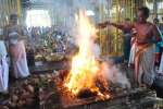 பூவரசங்குப்பத்தில் நரசிம்மர் ஜெயந்தி விழா