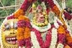 பட்டத்தரசி அம்மன் கோவில் விழா: சிம்ம வாகனத்தில் திருவீதியுலா