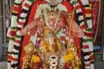 திருவதிகை கோவிலில் கருட வாகன உற்சவம்!
