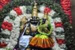 லட்சுமி ஹயக்ரீவர் கோவிலில் நரசிம்ம ஜெயந்தி உற்சவம்