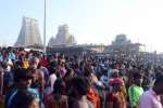திருச்செந்தூரில் வைகாசி விசாகம்: ஏராளமான பக்தர்கள் தரிசனம்!