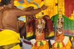 காஞ்சிபுரம் சீனிவாச திருக்கல்யாணம் வைபவம் கோலாகலம்