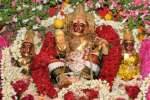 சேவுகப்பெருமாள் அய்யனார் கோவில் வைகாசி விசாக தேரோட்டம்