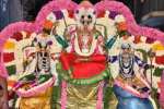 செல்லமுத்து மாரியம்மன் கோவில் 15ம் ஆண்டு செடல் திருவிழா