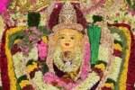 சுந்தராபுரம் காமாட்சியம்மன் கோவில் விழா