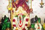 கொடிவலசாவில் ஜாத்திரை திருவிழா