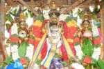 ராஜகோபால சுவாமி கோவிலில் வைகாசி பிரம்மோற்சவம் நிறைவு