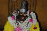 விருதை கோவில்களில் கிருத்திகை வழிபாடு