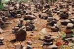 சென்னிமலை முருகன் கோவிலில் பிரபலமாகி வரும் விநோத வழிபாடு!