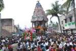 கோலியனுார் புத்துவாயம்மன் கோவில் தேர் திருவிழா