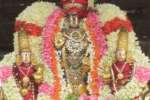 திருமழிசை ஜெகந்நாத பெருமாள் கோவில் தேரோட்டம்