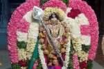பாலமுருகன் கோவிலில் ஊஞ்சல் உற்சவம்!