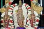 திருவள்ளூர் வீரராகவர் கோவிலில் ஆனி தெப்ப உற்சவம்!