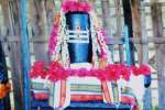 புத்தகளூர் கோயிலில் லிங்கத்தின் மீது பாம்பு சட்டை: பக்தர்கள் பரவசம்!