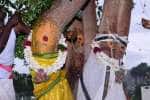 அரசு - வேம்பு மரங்களுக்கு திருமணம் நடத்திய மக்கள்!