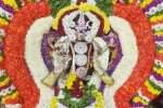 வீரட்டானேஸ்வரர் கோவிலில் ஆனி திருமஞ்சன விழா