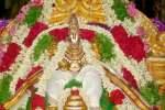 அனுமந்த வாகனத்தில் சேதுநாராயணப்பெருமாள் உலா!