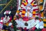 பொள்ளாச்சி சிவன் கோவில்களில் பிரதோஷ சிறப்பு பூஜை